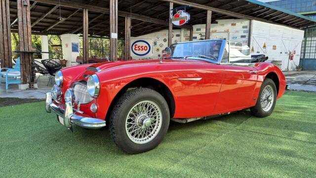 Bild 1/53 von Austin-Healey 3000 Mk III (BJ8) (1965)