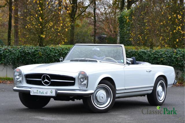 Image 1/50 of Mercedes-Benz 250 SL (1966)