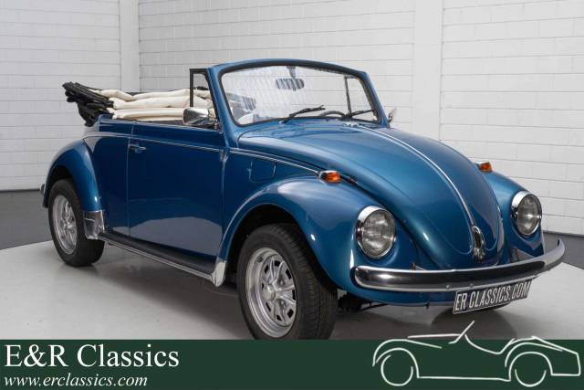 Immagine 1/19 di Volkswagen Maggiolino 1500 (1969)