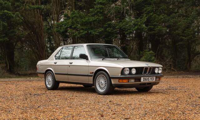 Image 1/50 de BMW 525e (1987)