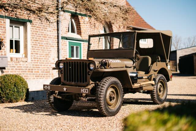 Image 1/16 of Willys MB (1944)