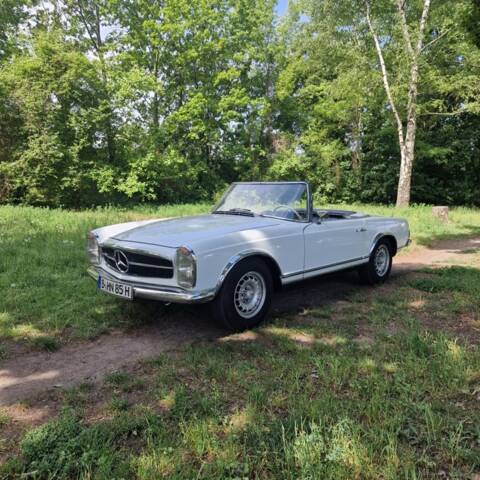 Bild 1/100 von Mercedes-Benz 250 SL (1967)