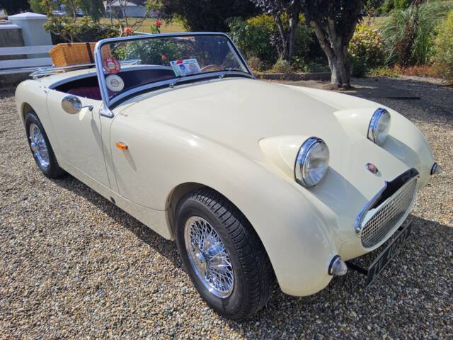 Bild 1/33 von Austin-Healey Sprite Mk I (1959)