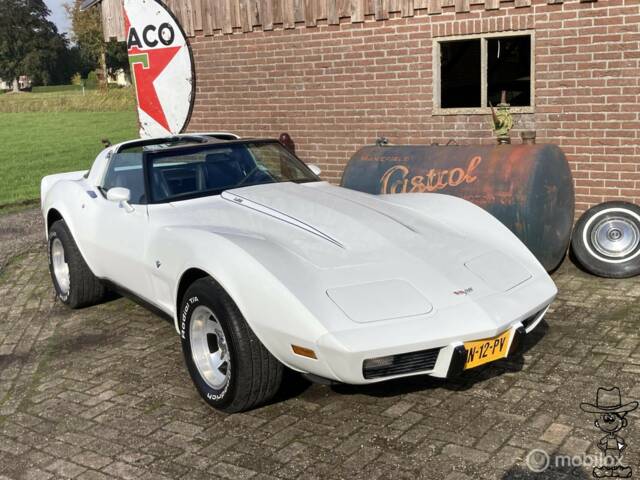 Afbeelding 1/50 van Chevrolet Corvette Sting Ray (1979)
