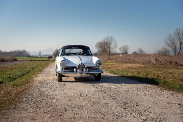 Bild 1/38 von Alfa Romeo Giulietta Spider Veloce (1959)
