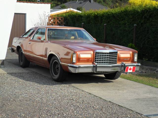 Bild 1/12 von Ford Thunderbird (1977)