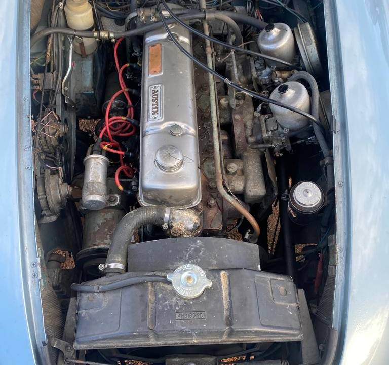 Bild 5/11 von Austin-Healey 3000 Mk III (BJ8) (1964)