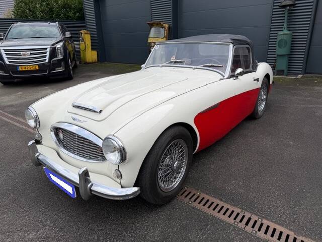 Bild 1/16 von Austin-Healey 100/6 (BN4) (1957)