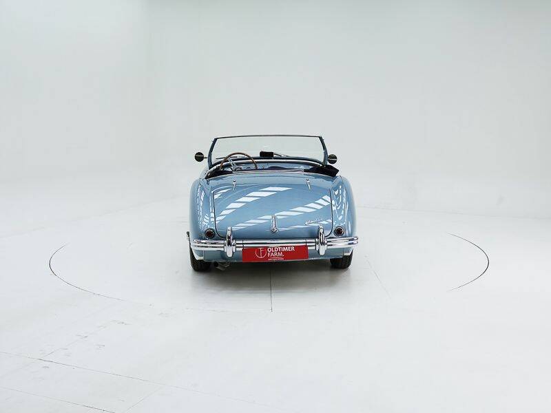 Image 7/15 of Austin-Healey 100/4 (BN1) (1954)