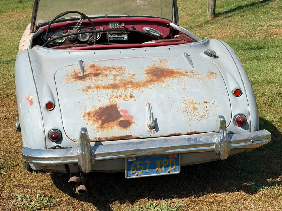 Bild 4/22 von Austin-Healey 3000 Mk II (BN7) (1960)