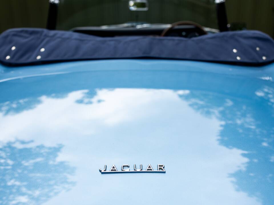 Image 15/46 de Jaguar E-Type "Lightweight" (1963)