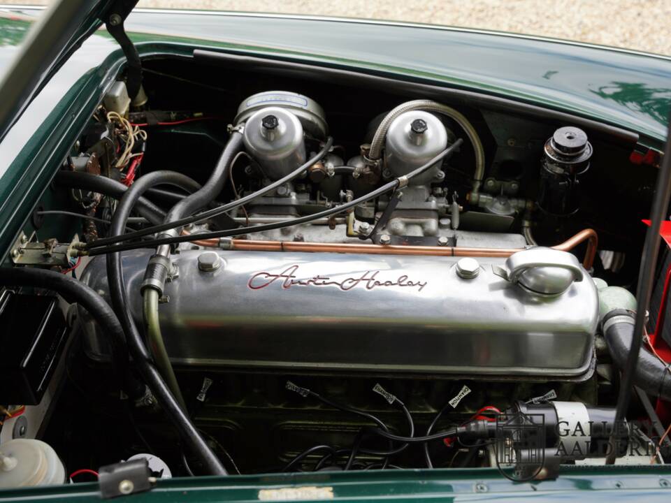 Afbeelding 29/50 van Austin-Healey 3000 Mk III (BJ8) (1966)