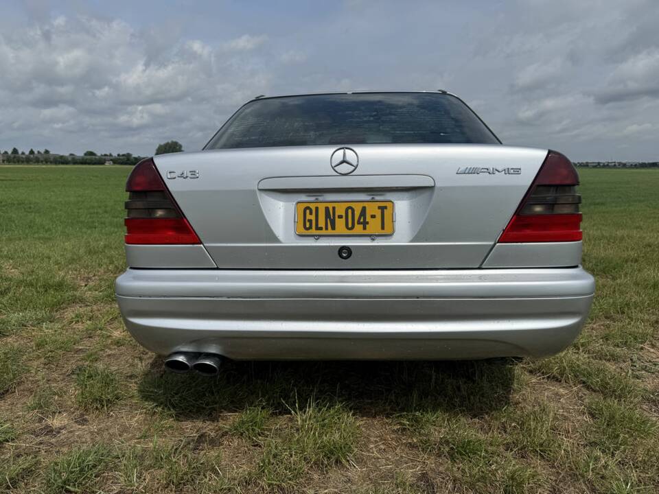 Bild 6/8 von Mercedes-Benz C 43 AMG (1998)