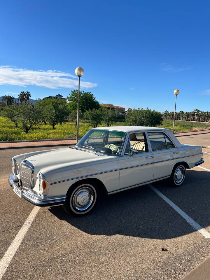 Afbeelding 1/50 van Mercedes-Benz 250 SE (1967)