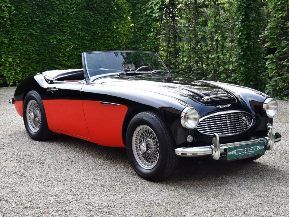Image 9/27 de Austin-Healey 3000 Mk I (BT7) (1960)