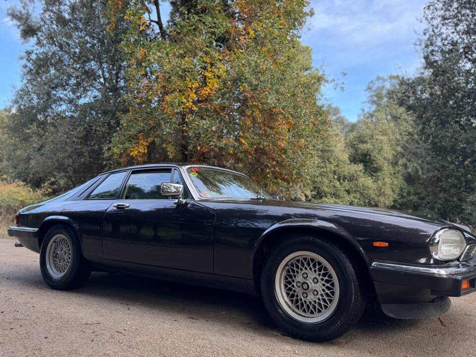 Image 11/47 of Jaguar XJ-S 3.6 (1988)