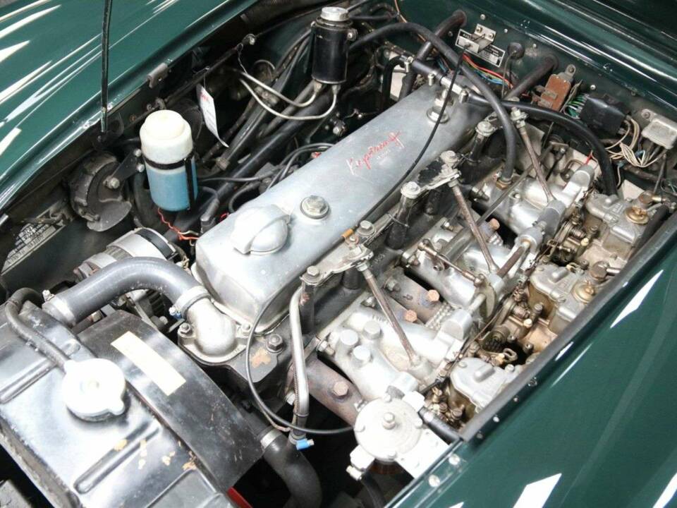 Immagine 24/30 di Austin-Healey 3000 Mk III (BJ8) (1967)