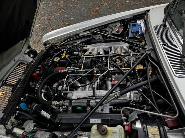 Bild 4/10 von Jaguar XJ 12 (1989)