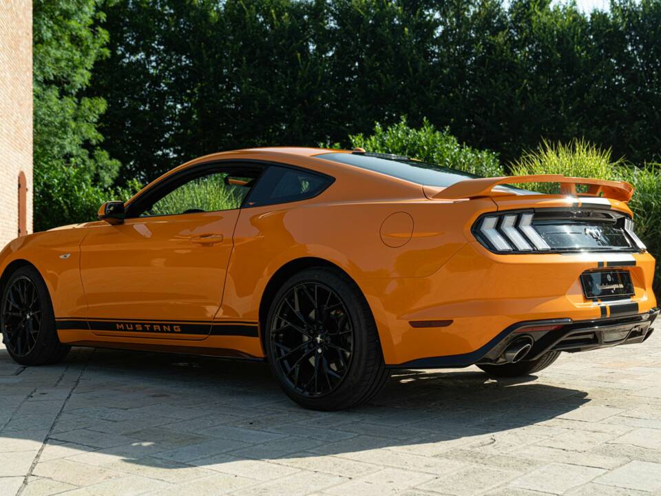Bild 6/50 von Ford Mustang 2.3 Ecoboost (2019)
