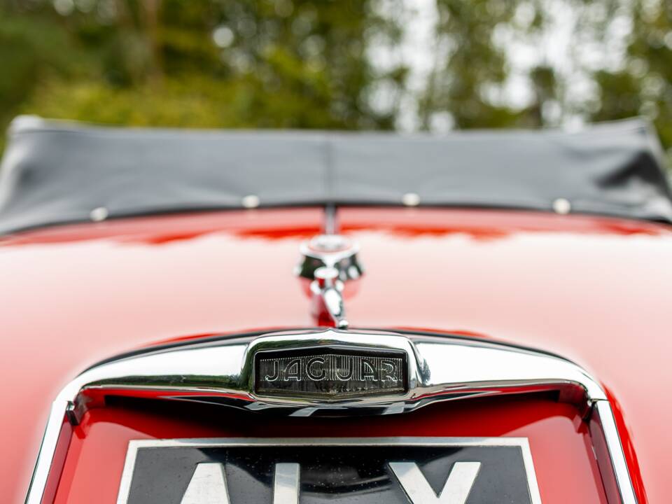 Afbeelding 28/50 van Jaguar XK 150 DHC (1959)