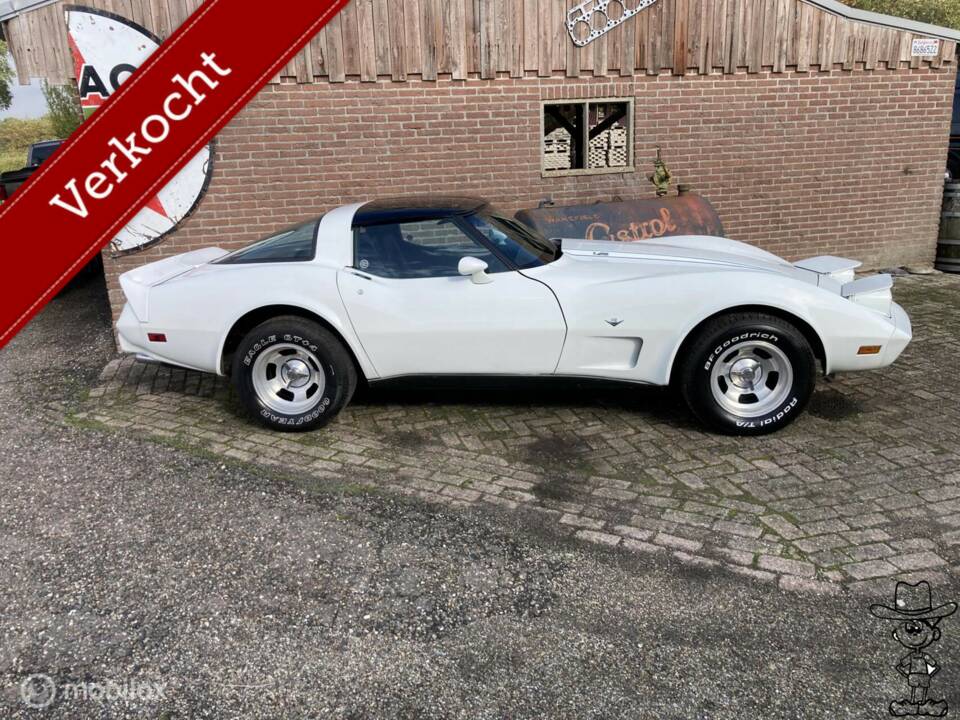 Image 3/50 of Chevrolet Corvette Sting Ray (1979)