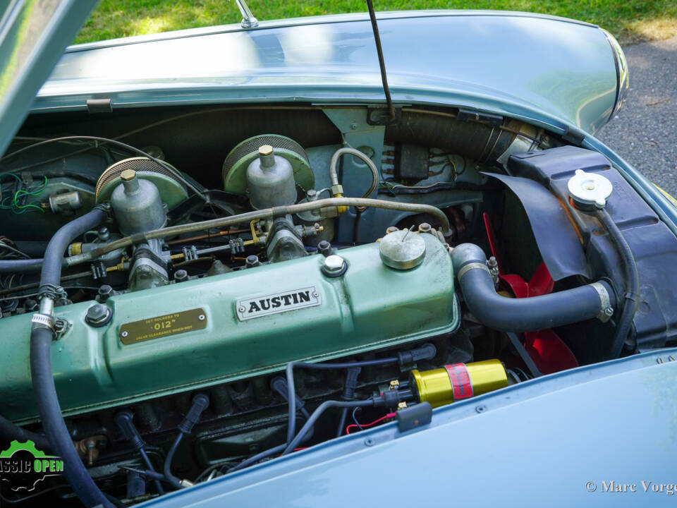 Image 17/51 of Austin-Healey 100&#x2F;6 (BN4) (1958)
