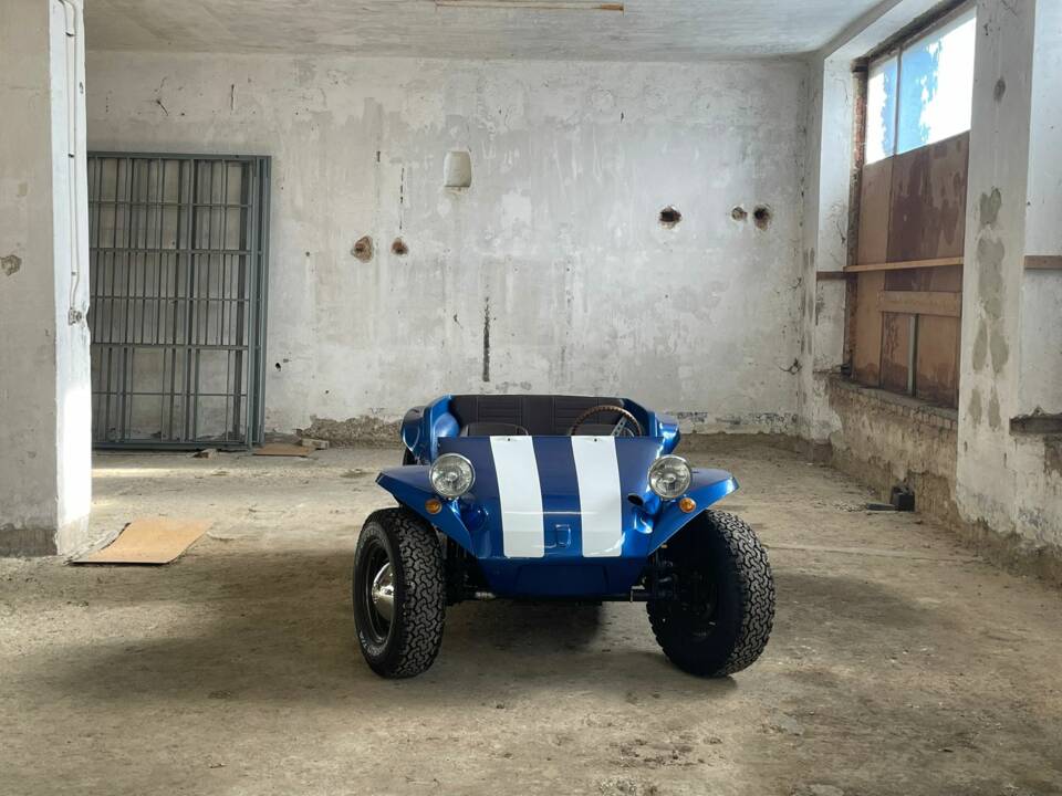 Image 10/25 of Volkswagen Meyers Manx Buggy (1964)