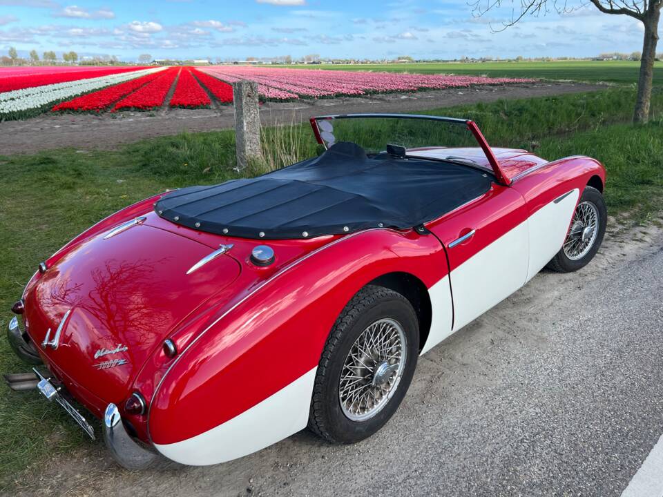 Bild 25/65 von Austin-Healey 3000 Mk I (BN7) (1959)
