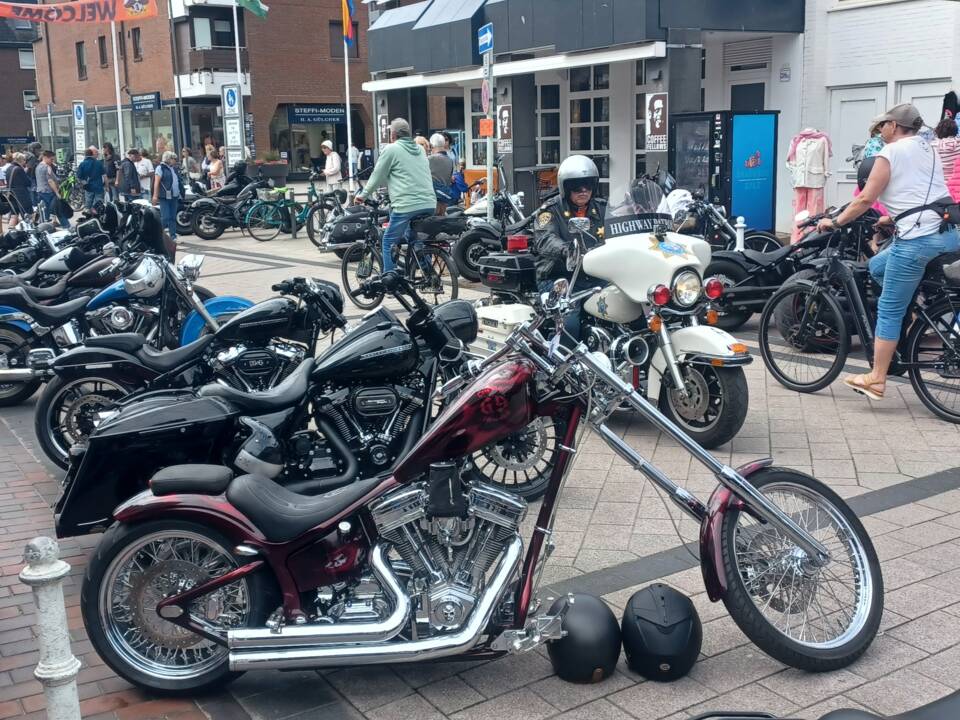 Bild 14/15 von Harley-Davidson DUMMY (2007)