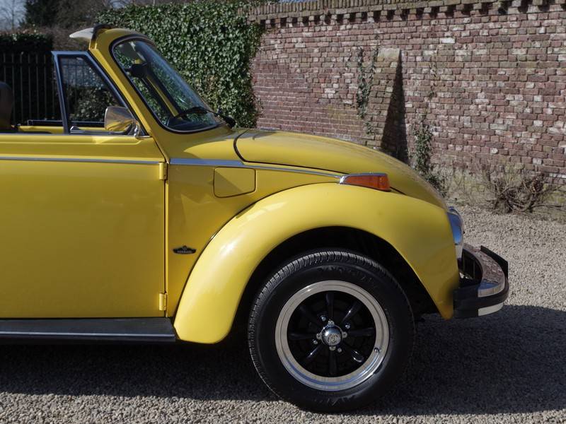 Bild 30/50 von Volkswagen Beetle 1600 (1976)