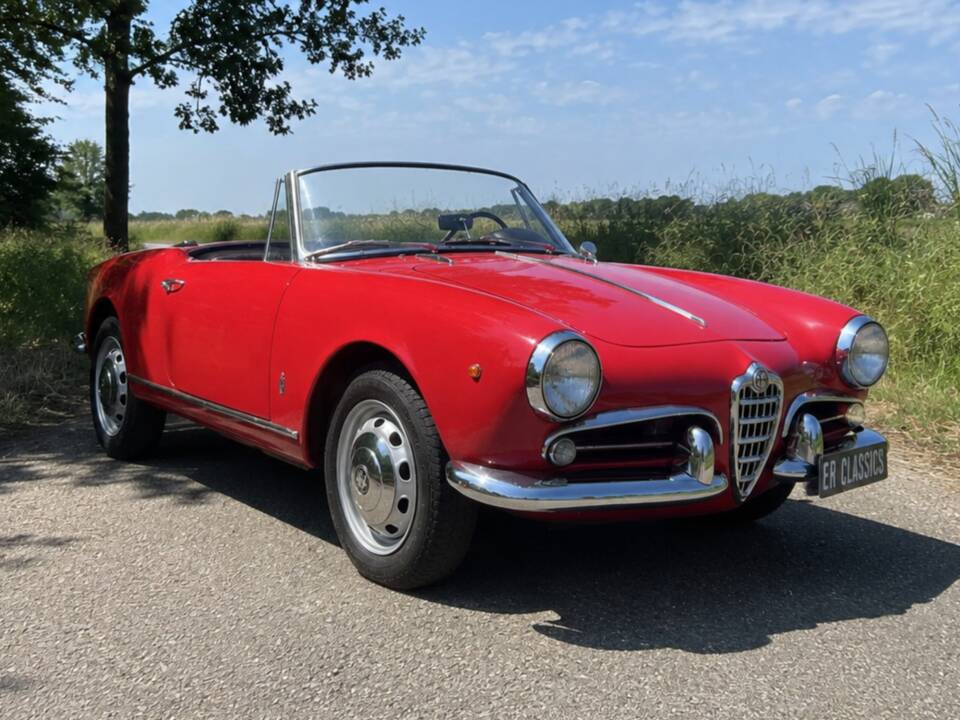 Imagen 1/8 de Alfa Romeo Giulietta Spider (1961)