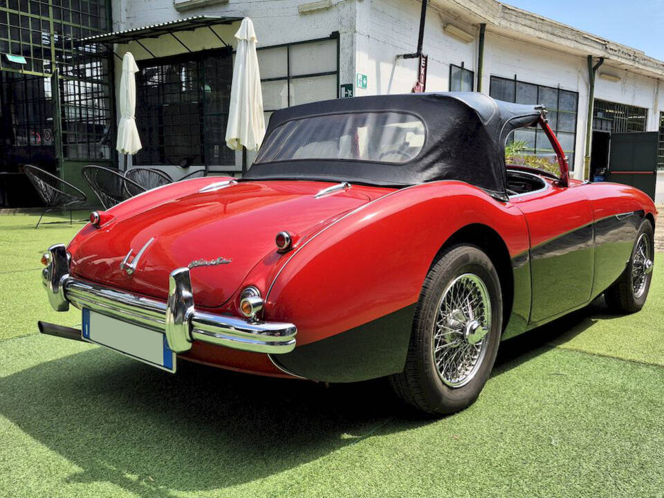 Bild 59/62 von Austin-Healey 100&#x2F;4 (BN1) (1954)
