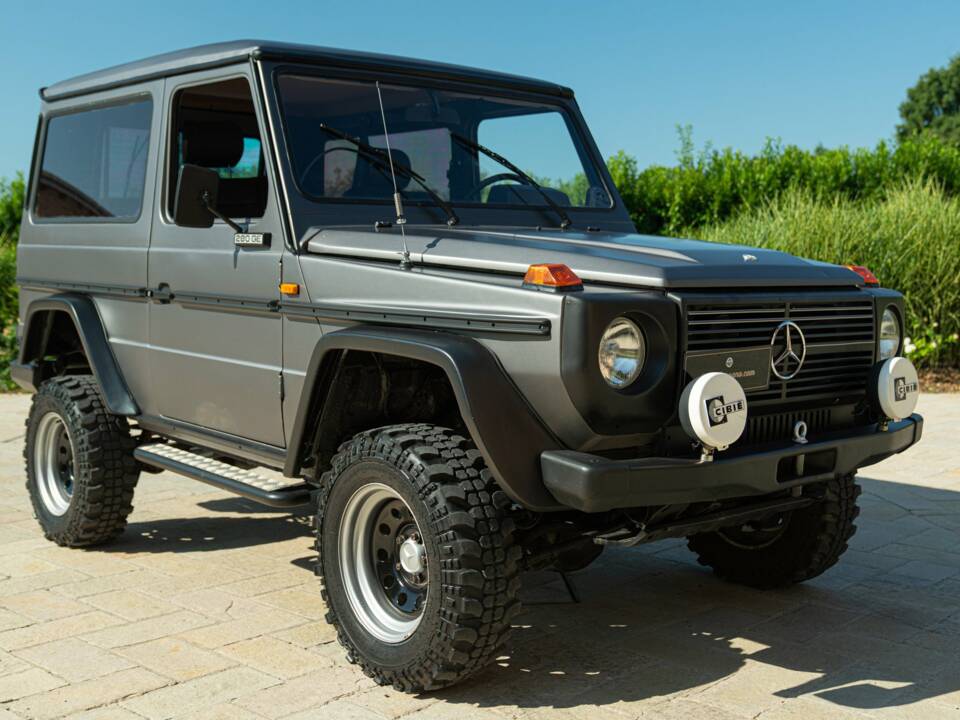 Bild 9/50 von Mercedes-Benz 280 GE (SWB) (1981)