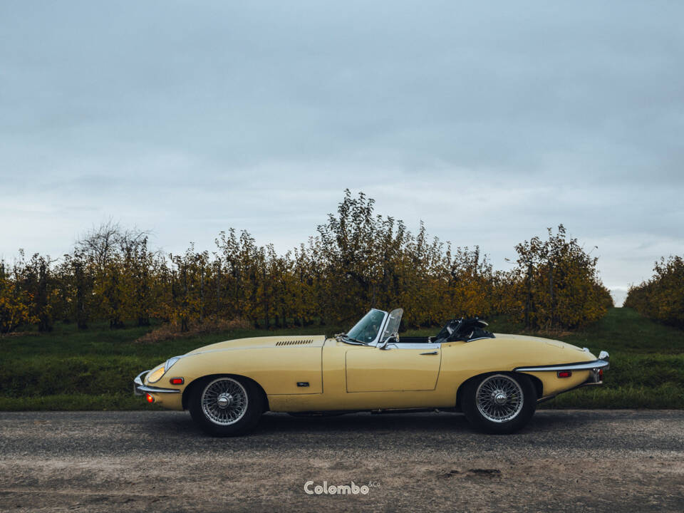 Image 7/29 de Jaguar E-Type (1969)