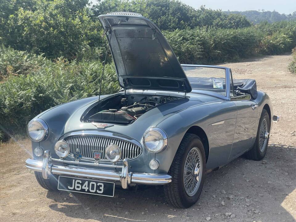 Bild 4/12 von Austin-Healey 3000 Mk III (BJ8) (1964)
