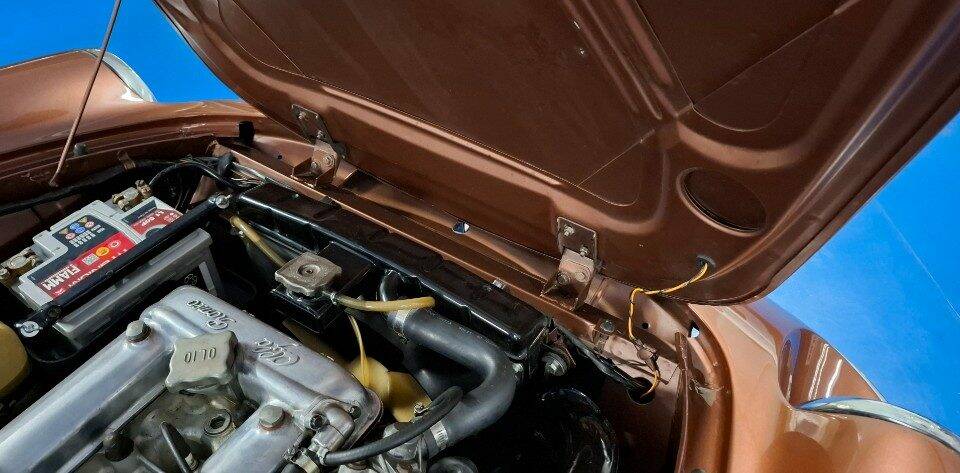 Image 19/45 of Alfa Romeo Spider Veloce 2000 (1981)