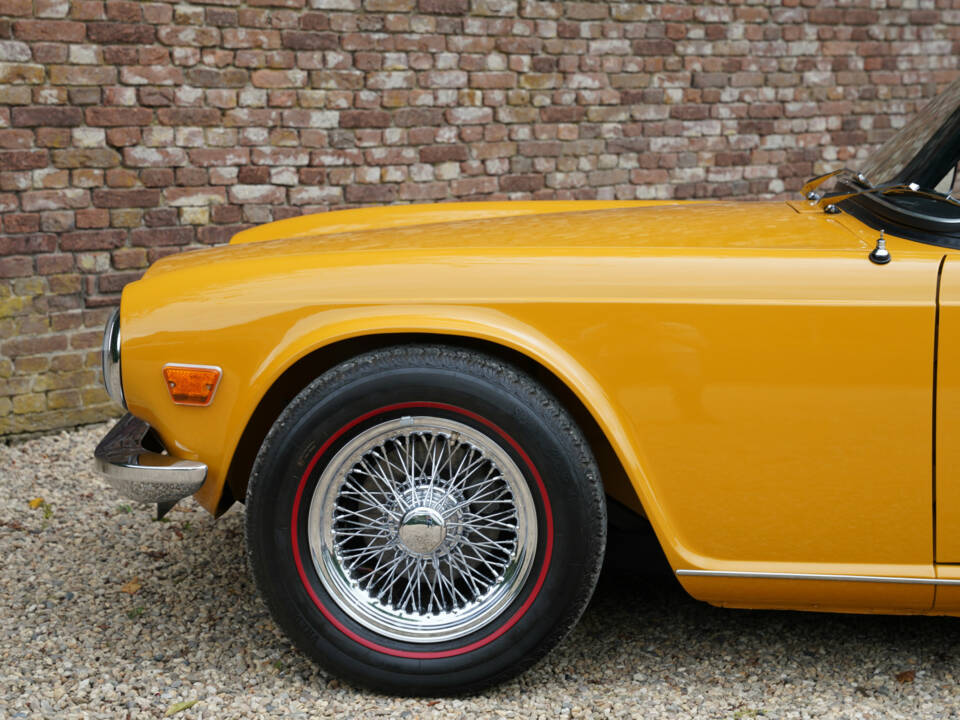 Immagine 8/50 di Triumph TR 6 (1971)