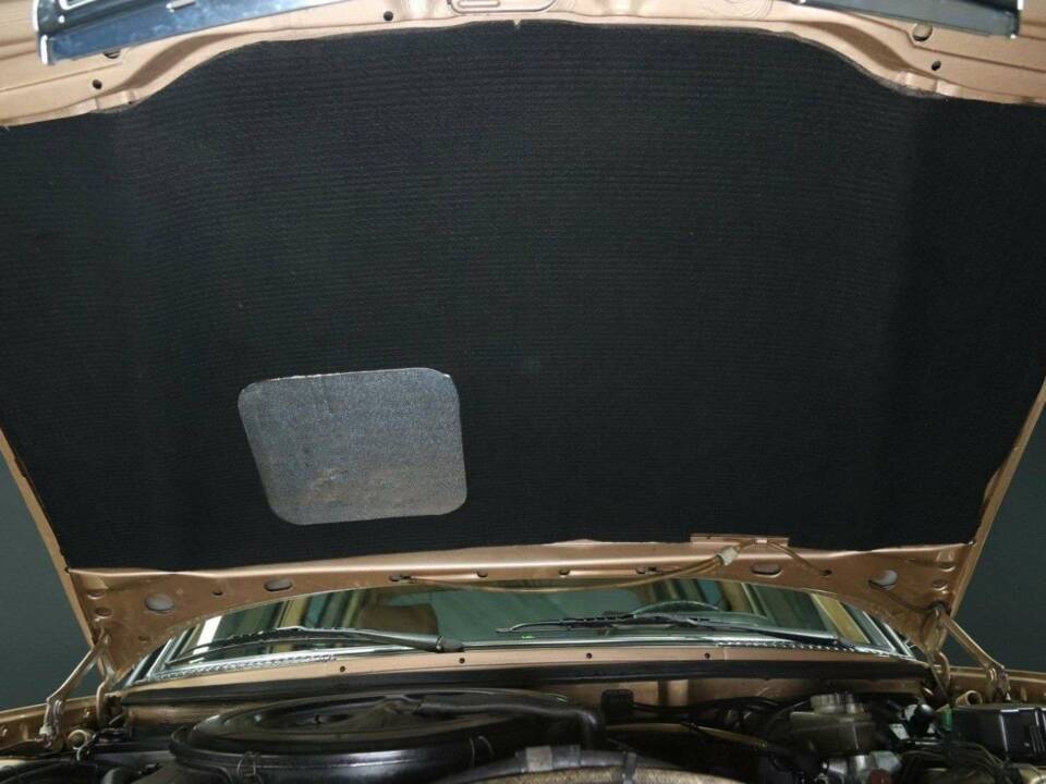 Bild 48/49 von Mercedes-Benz 250 lang (1985)