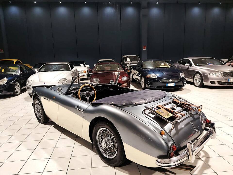 Imagen 8/72 de Austin-Healey 100/6 (BN4) (1957)