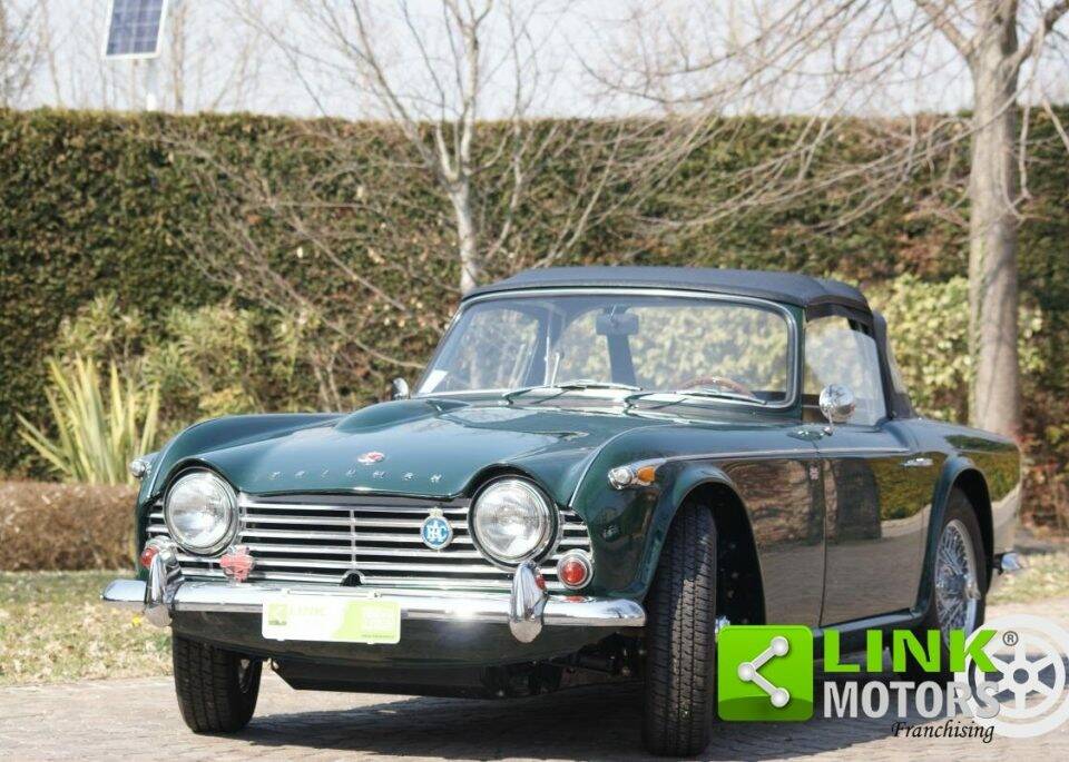 Immagine 2/10 di Triumph TR 4 (1965)