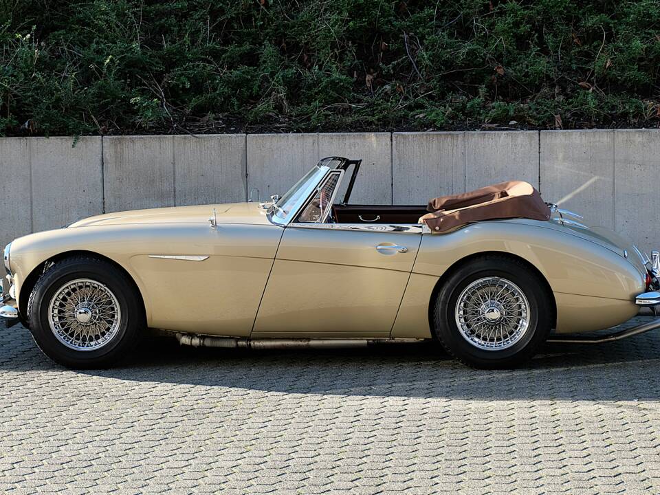 Image 9/68 of Austin-Healey 3000 Mk III (BJ8) (1965)
