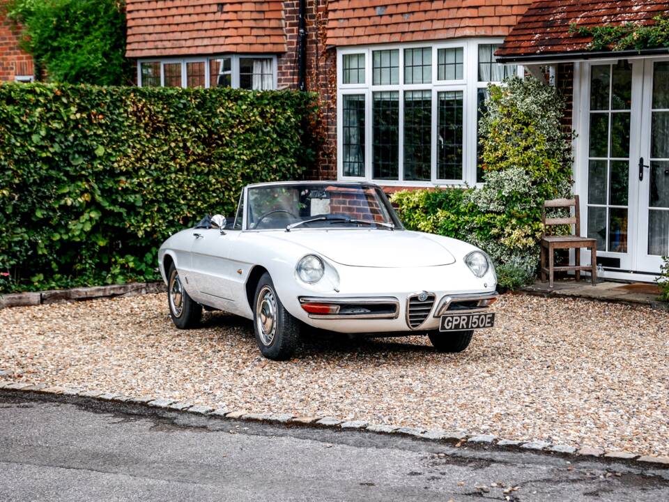 Immagine 21/35 di Alfa Romeo 1600 Spider Duetto (1967)