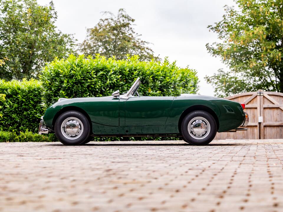 Bild 16/40 von Austin-Healey Sprite Mk I (1958)