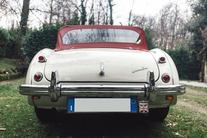 Image 5/7 of Austin-Healey 100&#x2F;4 (BN1) (1954)