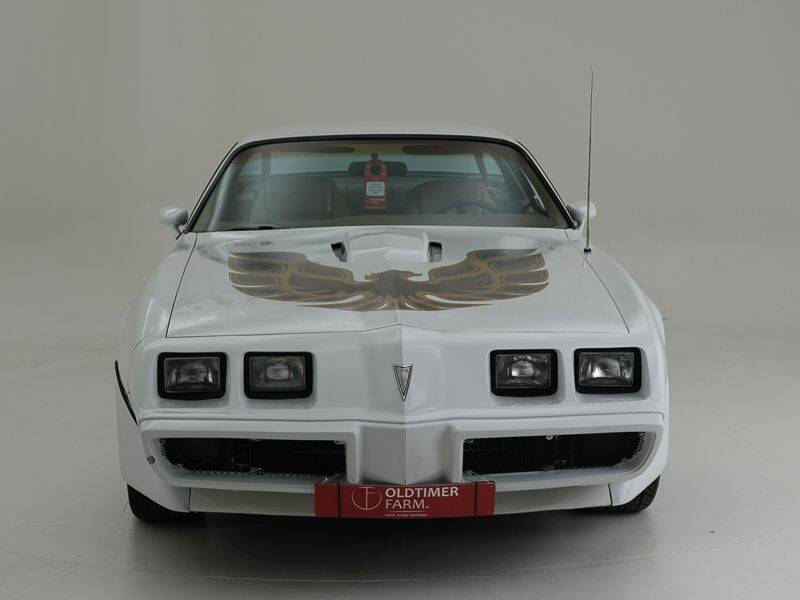 Bild 9/15 von Pontiac Firebird Turbo TransAm (1981)