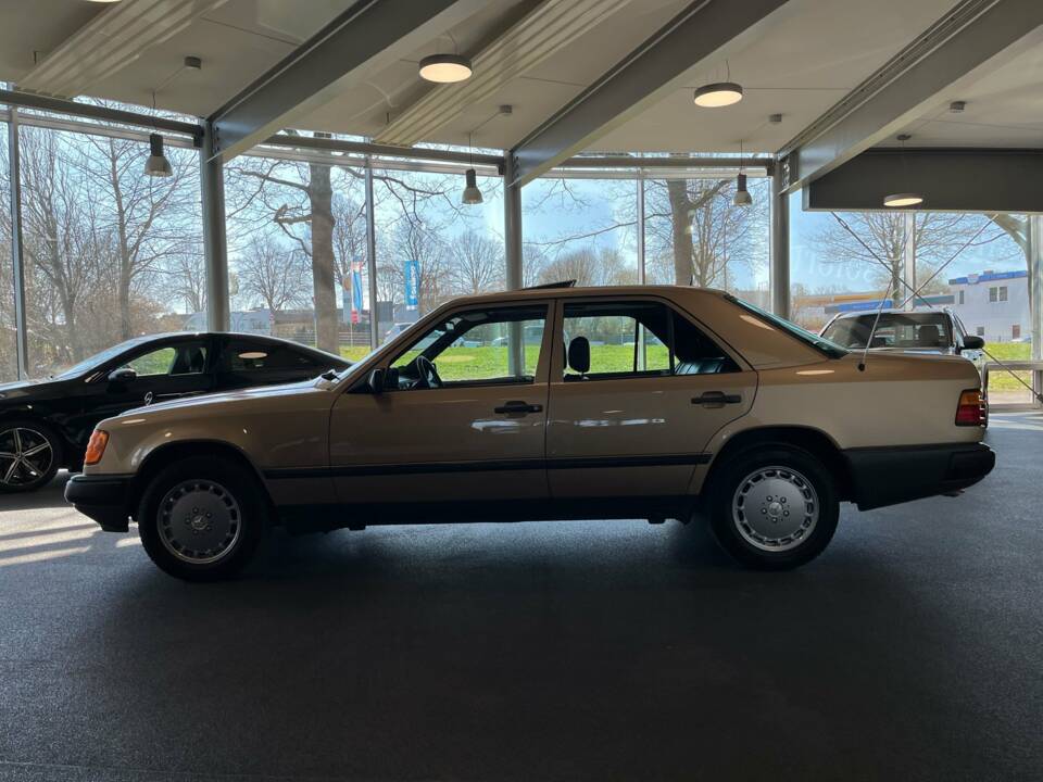 Bild 12/22 von Mercedes-Benz 300 E 4-Matic (1988)
