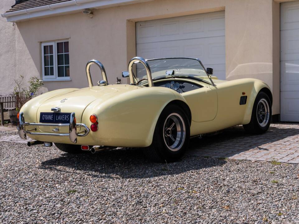 Bild 7/51 von AC Cobra 289 (1999)