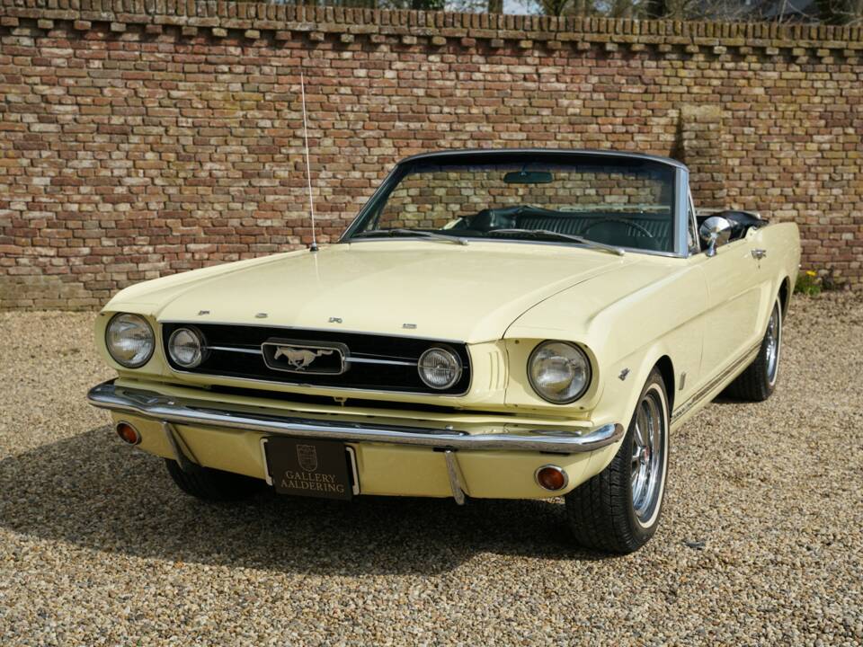 Immagine 42/50 di Ford Mustang 289 (1966)