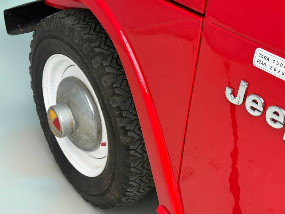 Image 5/20 of Jeep DJ-5F (1977)