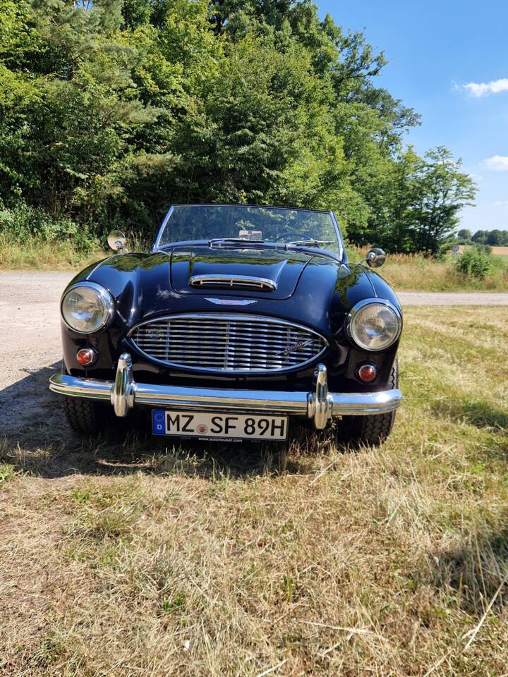Bild 5/14 von Austin-Healey 3000 Mk I (BT7) (1961)